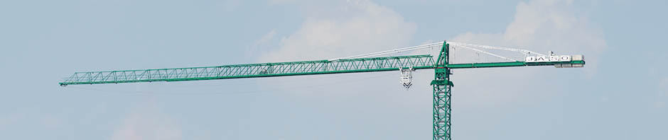 Bauma 2007 Crane Forest