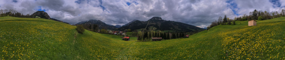 MMatern_20130504_4017_DandelionInMay_wpheader.jpg