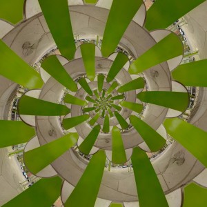 Three Green Stripes Droste Reprojection