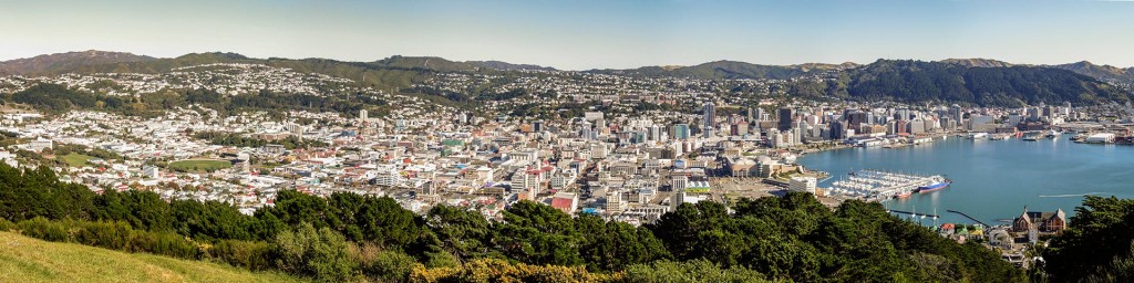 Wellington as seen from Mt. Victoria