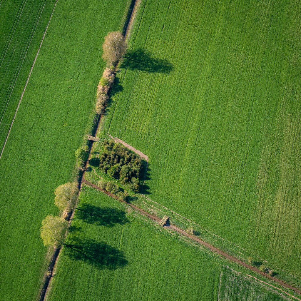 World from above