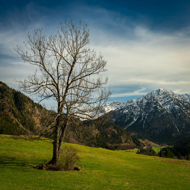 Snowy mountains in Bad Hindelang